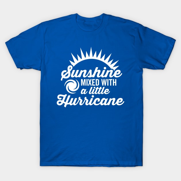 Sunshine with a Little Hurricane T-Shirt by DetourShirts